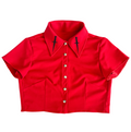 Cropped Dagger Blouse
