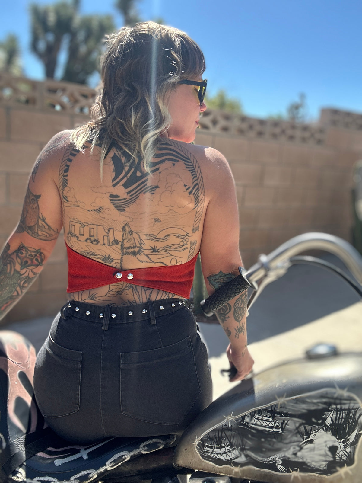 Leather Halters